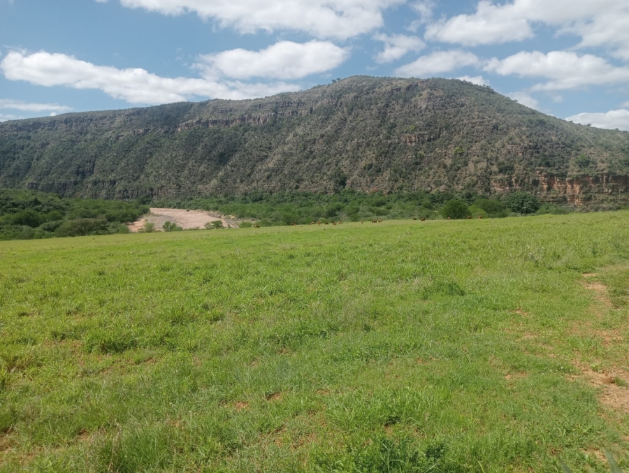 0 Bedroom Property for Sale in Stutterheim Rural Eastern Cape